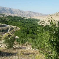 پرستار کودک