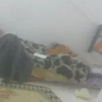 تخت خواب آهنی کاملا سالم