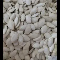 بوجار شده تمیز