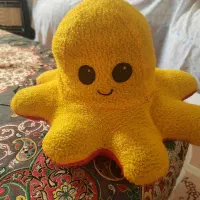 عروسک|اسباب‌‌بازی|اهواز, کوی صنایع|دیوار