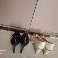 کفش مجلسی شیک|کیف، کفش، کمربند|اشتهارد, |دیوار