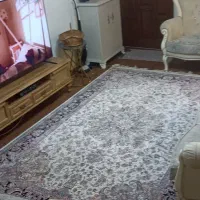 فرش ۶ متری هزار گل گل ابریشم|فرش|تهران, باشگاه نفت|دیوار