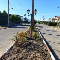 فروش-یک-قطعه-زمین-شهرکی-دریابیشه