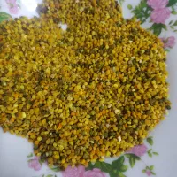 گرده گل زنبور|عمده‌فروشی|قروه, |دیوار