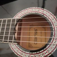 گیتار کلاسیک نوعه نو|گیتار، بیس، امپلیفایر|فردیس, شهرک وحدت|دیوار