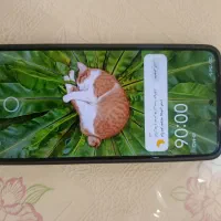 نوت 14 شیامی|موبایل|قم, عمار یاسر|دیوار