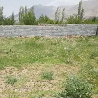 زمین 250متری رامجین