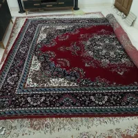 فرش ماشینی ۱۲متری  در حد نو
