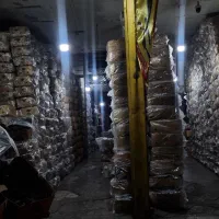 استخدام کارگر بسته بندی زغال