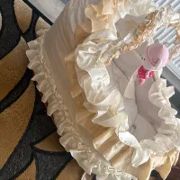 کریر و سبد نوزاد ورووک سالم