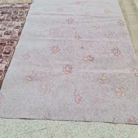 موکت دسته دوم بدون پارگی و پوسیدگی|موکت|اهواز, شهرک نفت|دیوار