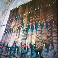 فروش و خرید مو موی طبیعی