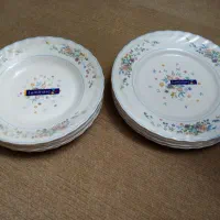 پلو خوری و خورش خوری ارکوپال فرانسه