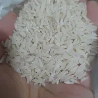 برنج هاشمی ۱۰کیلو کیلویی۲۴۰