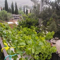 منزل مبله در بام قلات