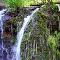 بار نشابور