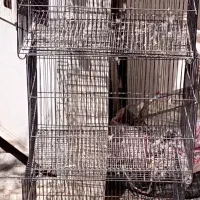 قفس پرنده فلزی۶۰×۴۰ نوی نو