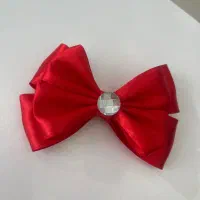 پاپیون و گلسر مخصوص شب یلدا|زیورآلات و اکسسوری|خمام, |دیوار