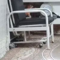 تخت