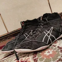 کفش کشتی استانی