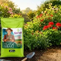 توجه کنید (زمین تا تقویت نشه بار نمیده)