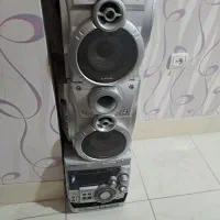 ظبط