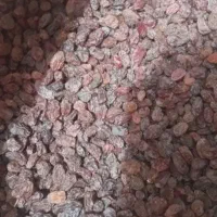 کشمش آفتابی بدون بدون سم