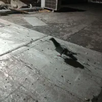 آتم|پرنده|خوی, |دیوار