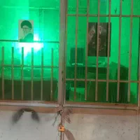 استخدام فوری منشی جهت مشاور املاک با حقوق عالی