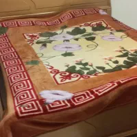 منزل کوتاه مدت|اجارهٔ کوتاه‌مدت آپارتمان و سوئیت|شاهین‌شهر, طالقانی|دیوار