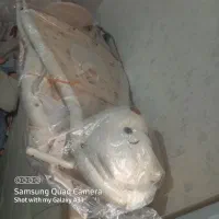 گهواره نوزاد