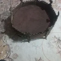 سالم شکستگی  ندارد