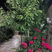 فروش خانه ویلایی ۱۴۵ متری ۳ خوابه در بهار|فروش خانه و ویلا|مشهد, بهار|دیوار