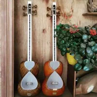 دوره خصوصی آموزش تار