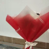 گل .|گل و گیاه طبیعی|زابل, |دیوار