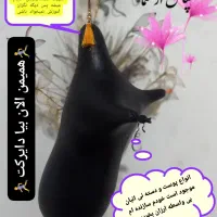 نی انبان طرحدار|سازهای بادی|فسا, |دیوار