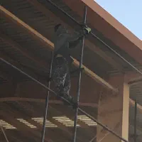 داربست فلزی **حمید**با کمترین قیمت|خدمات پیشه و مهارت|ملایر, |دیوار