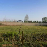 فروش فوری زمین 1000 متری گوراب زرمیخ ندامان|فروش زمین و ملک کلنگی|گوراب زرمیخ, |دیوار