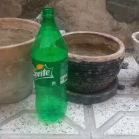 گلدان سفالی