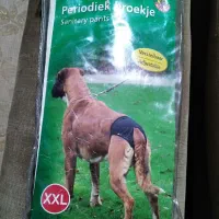 شورتکس سگ
