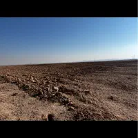 ۵۰ هکتار زمین بایر