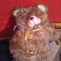 عروسک شاسخین