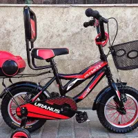 تاج دار سنتی دوچرخه  کیانار&