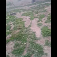 حراج زمین در شینقر