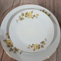 شیرینی خوری و پیش دستی