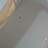 پشه بند نوزاد|اسباب و اثاث بچه|شیراز, شهرک سراج|دیوار