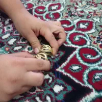 بدلیجات رنگ ثابت|بدلیجات|نظرآباد, شهرک سید جمال الدین|دیوار