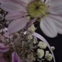یک تا گوشواره اطراف فلکه ابی پیدا کردم ادرس بدید