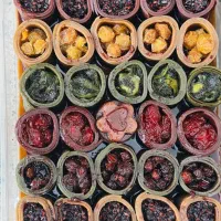 فروشنده در نمایشگاه|استخدام بازاریابی و فروش|نطنز, |دیوار