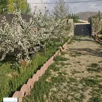 ۱۰۰۰ متر کردان معاوضه با آپارتمان یا ماشین|فروش آپارتمان|کوهسار (البرز), |دیوار